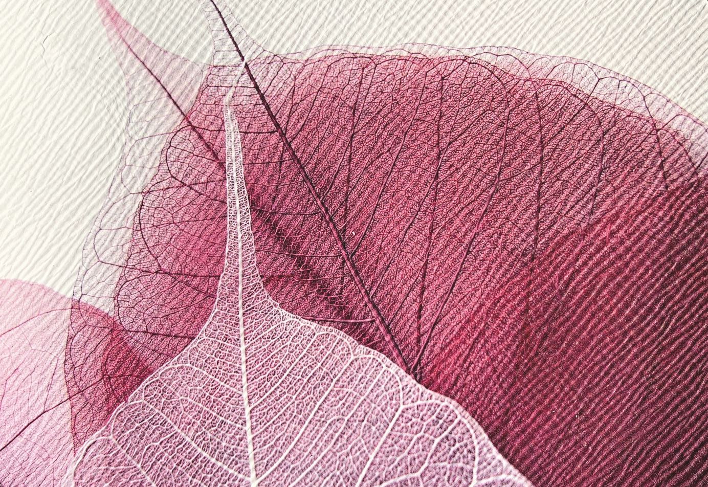 Alussa di AGFA, la prima tecnologia industriale di decorazione su pelle